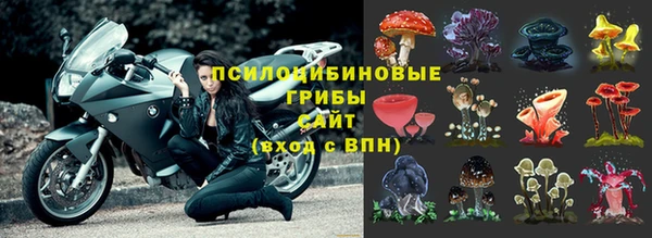 бошки Семёнов