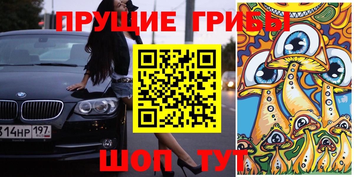 Галлюциногенные грибы прущие грибы Костомукша
