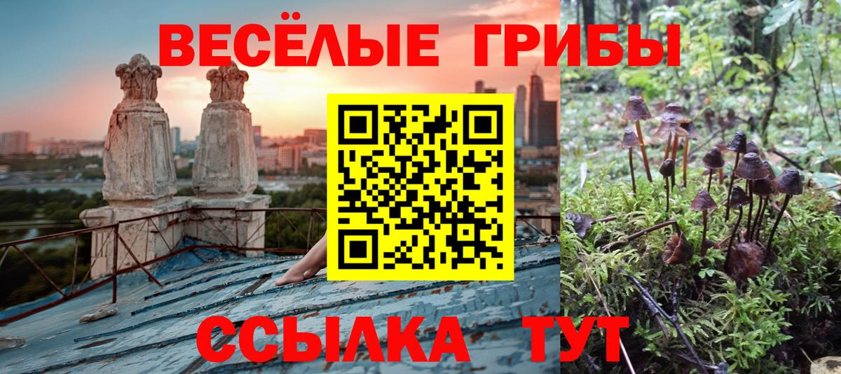 Псилоцибиновые грибы GOLDEN TEACHER  Вход с VPN  Костомукша  Галлюциногенные грибы Cubensis 