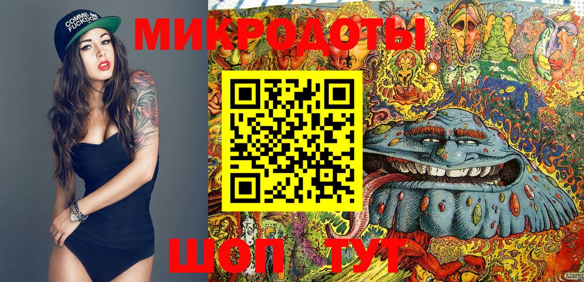 Галлюциногенные грибы Cubensis  Псилоцибиновые грибы Cubensis  Костомукша 